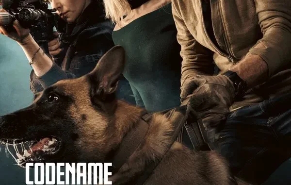 code name devvil
